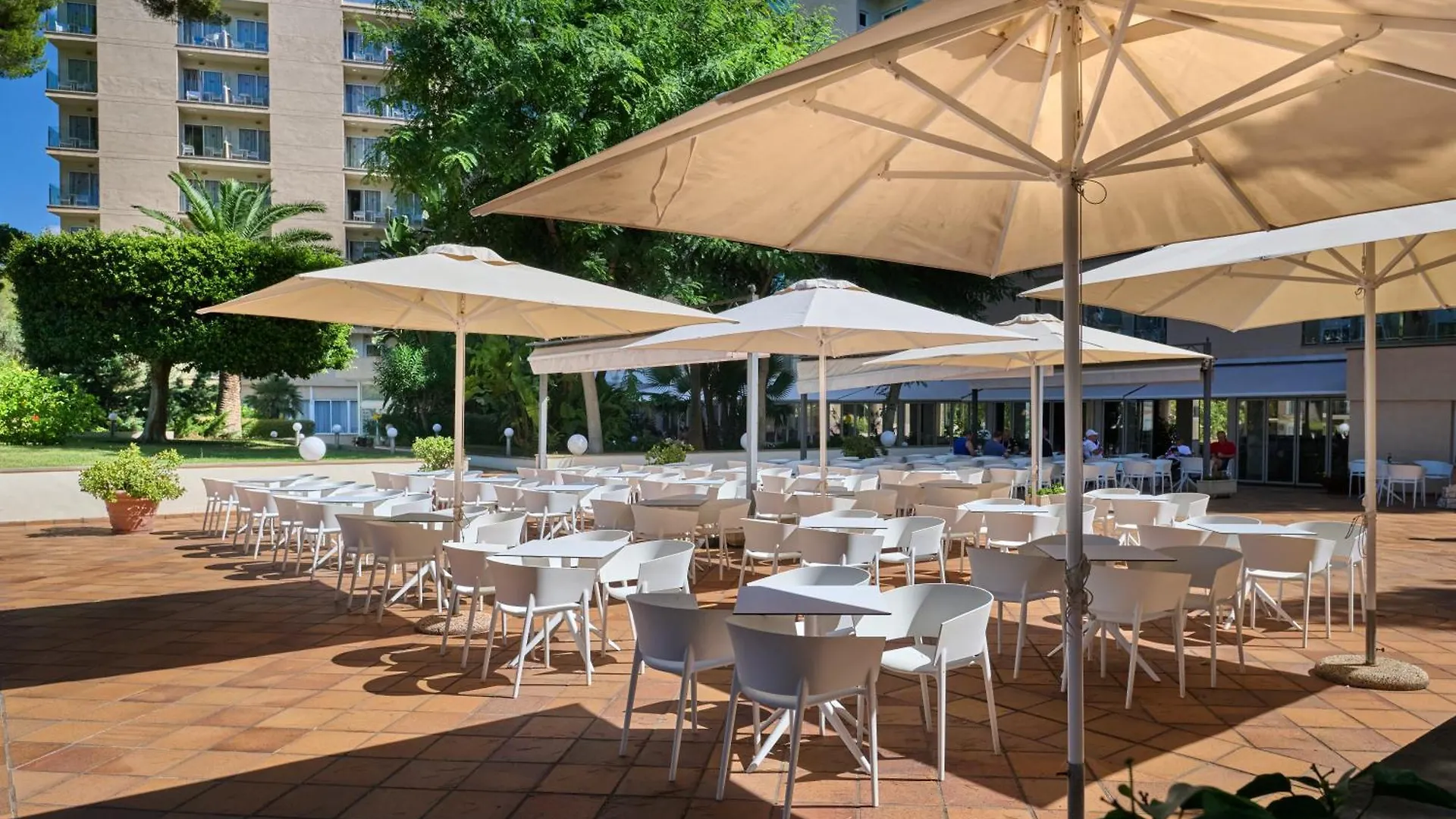 Hotel Grupotel Orient Playa de Palma